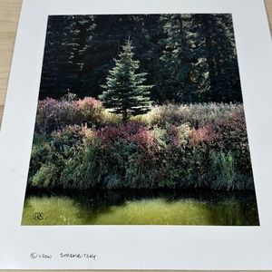 Art Print by Local Photographer/Artist Leon Strembitsky